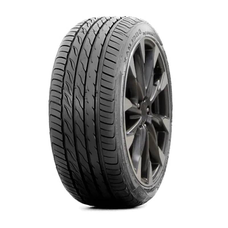Delmax 225/55R19 PERFORMPRO PCR Tires