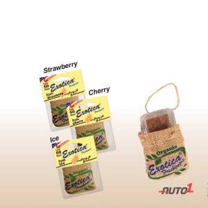 Exotica Hanging Organic Air Freshener Pouch Ice 28G