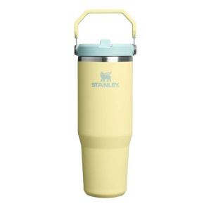 Stanley Ice Flow Go 890ml/30 Oz Flip Straw-Pomelo